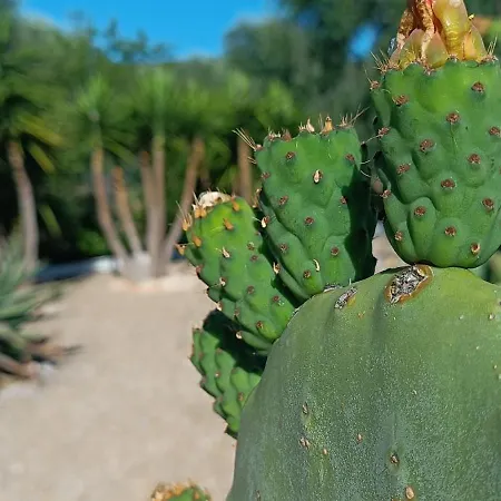 Sperlonga Nocleg ze śniadaniem