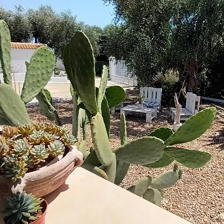 Sperlonga Bed & Breakfast