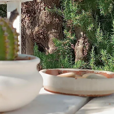 Sperlonga 4* Маттината