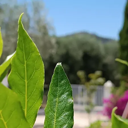 Bed & Breakfast Sperlonga 4*