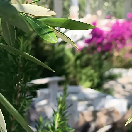 Sperlonga Bed & Breakfast Mattinata