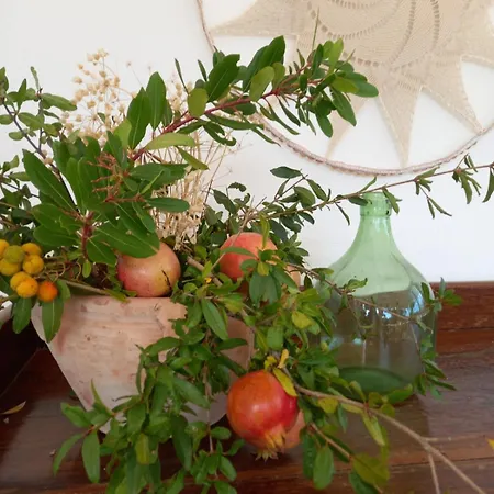 Bed & Breakfast Sperlonga