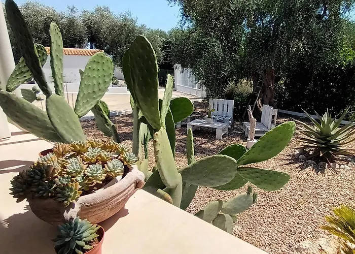 Sperlonga ベッド・アンド・ブレックファスト